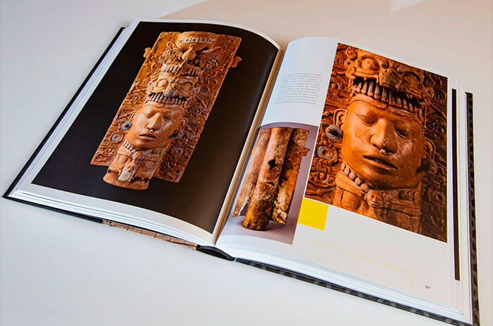paginas libro