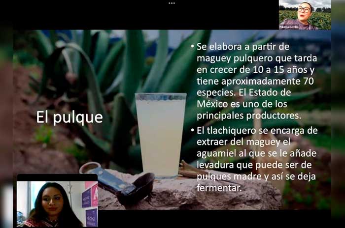 pulque