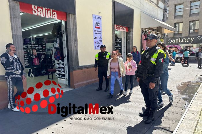 Seguridad Buen Fin