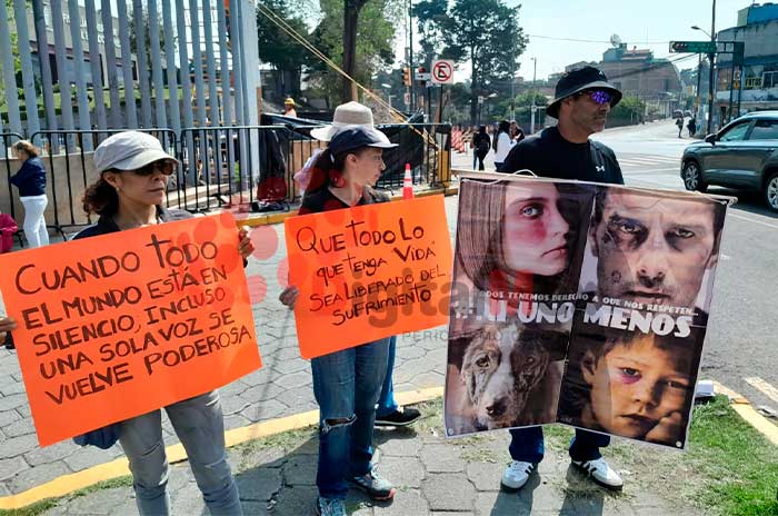 justicia perro muerto