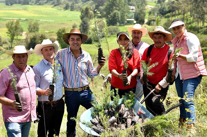 reforestacion almoloya de juarez