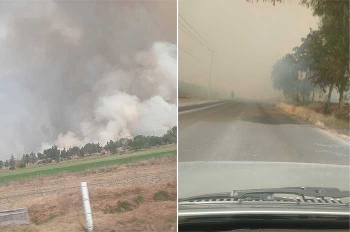 00 incendio laguna zumpango