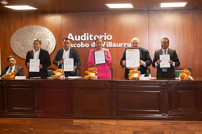 pjedomex y municipios contra violencia familiar
