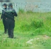 Hallan cadáver baleado