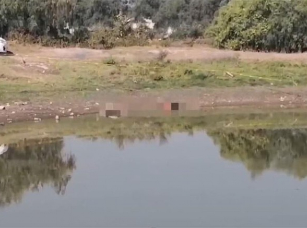 Hallan siete personas asesinadas 