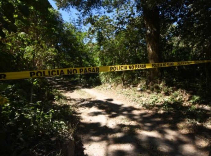 Mujer muere al caerle un árbol