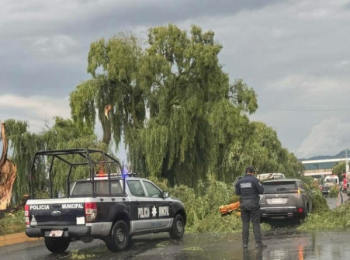 Lluvia derriba árboles y afecta la circulación en la #Toluca–Tenango