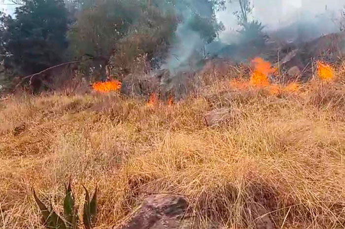 incendio la teresona