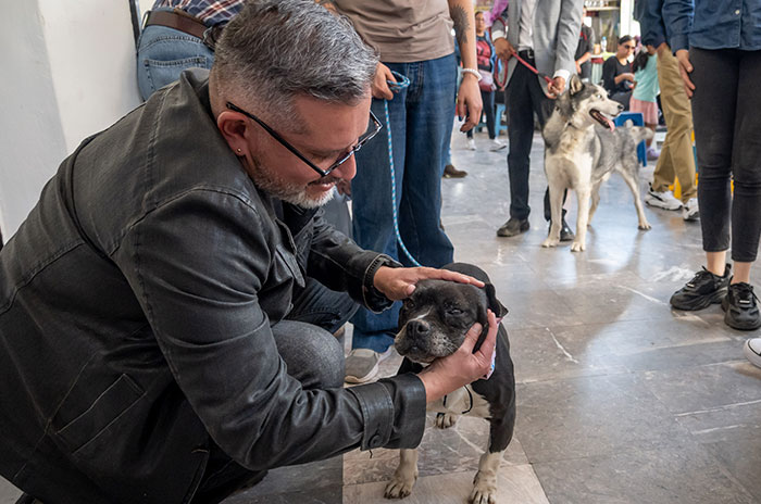 Pet Friendly Dirección General Innovacion Planeacion3