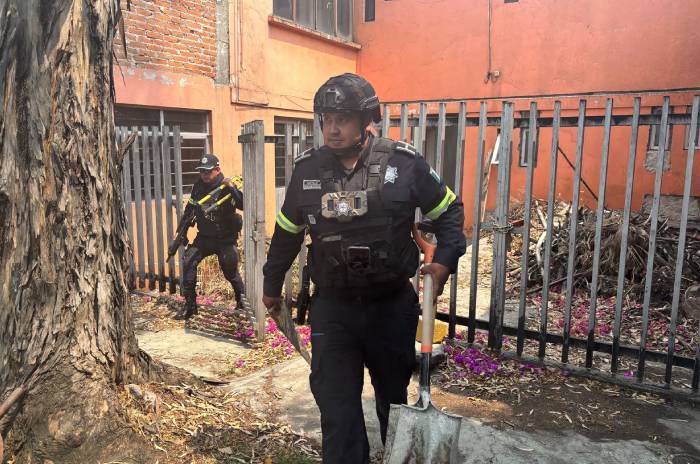 despojo predio naucalpan1