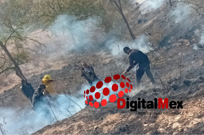 incenido1