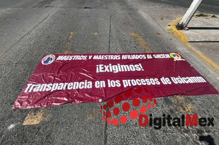 docentes