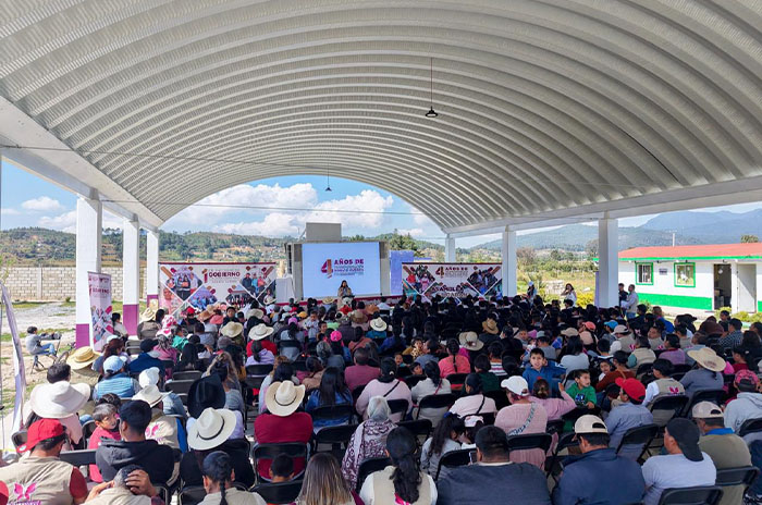informe donato