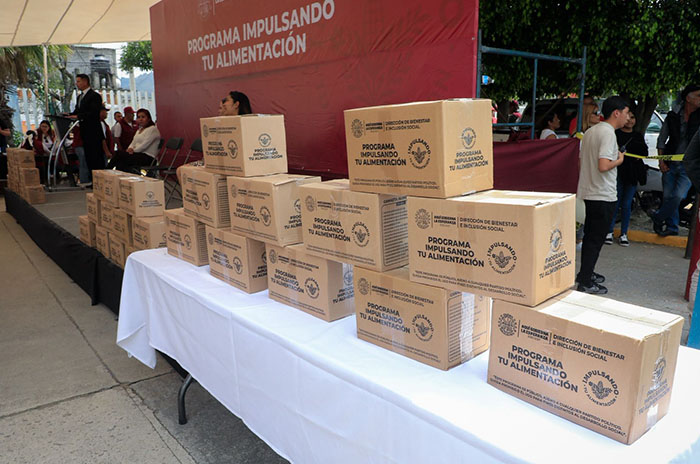 naucalpan apoyos