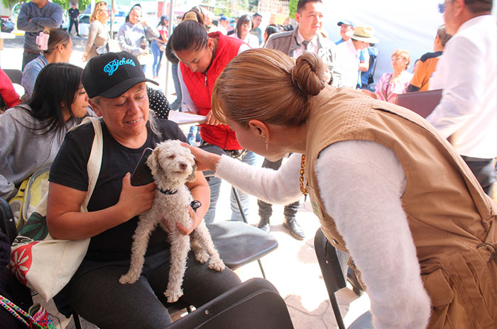 toluca1