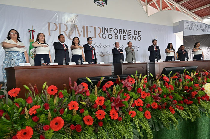 toño diaz informe