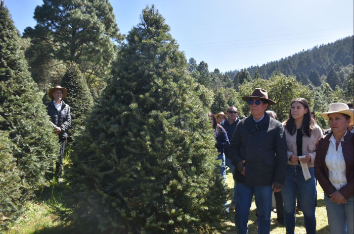 arbol 1