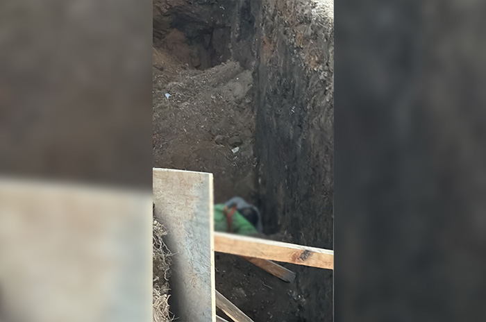 trabajador