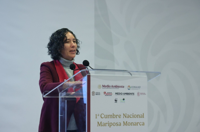 mariposa 2
