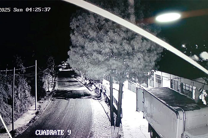 edomex