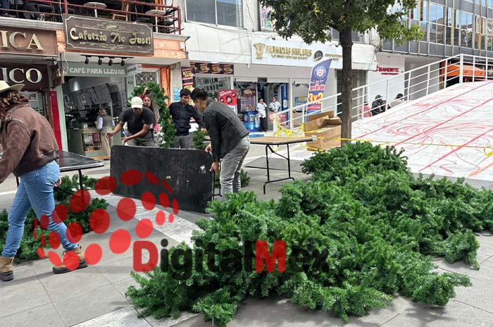 navidad toluca 4