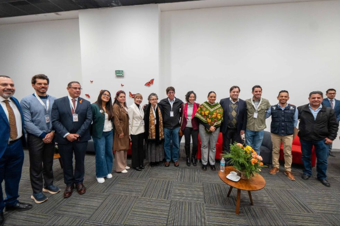 partidoverde 1