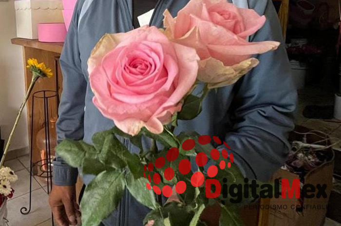 rosas edomex