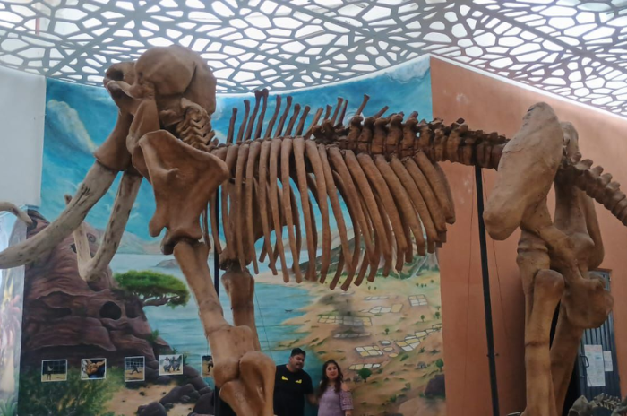 museo 1