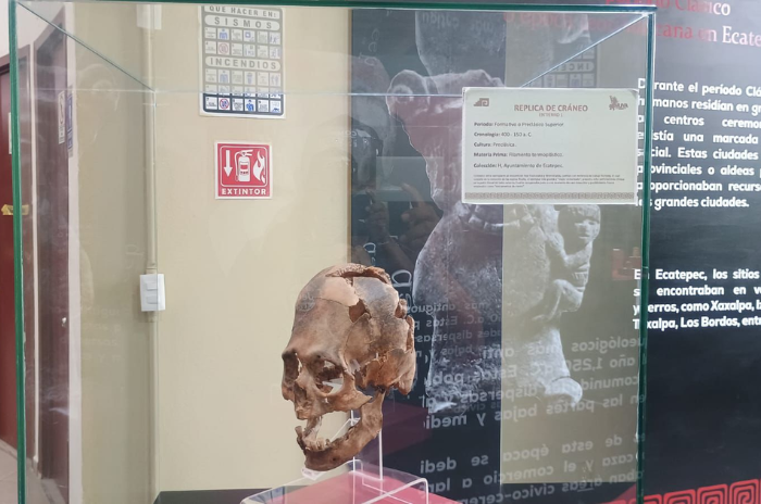 museo 2