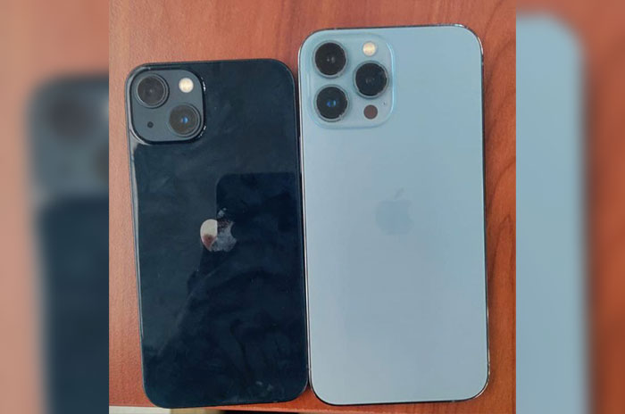 celulares