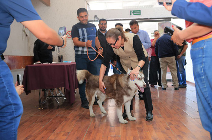 cisneros2