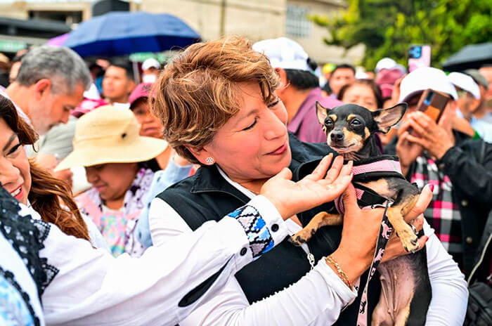 ley animales 1