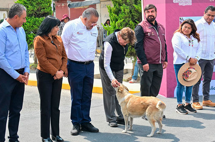 ley animales 4