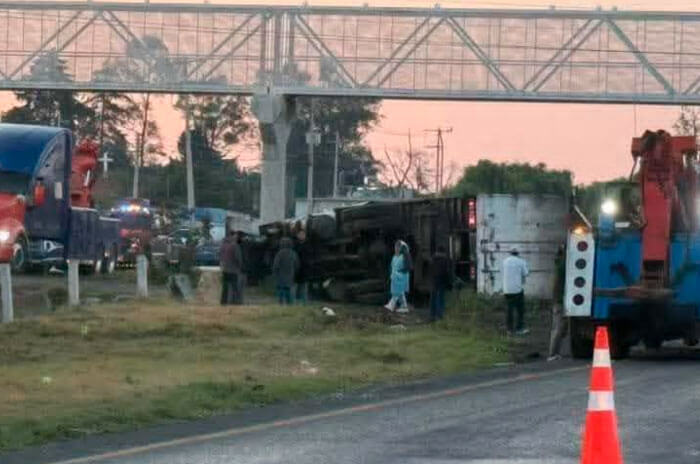 rapiña