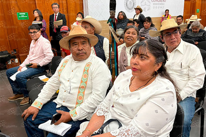 indigena 4