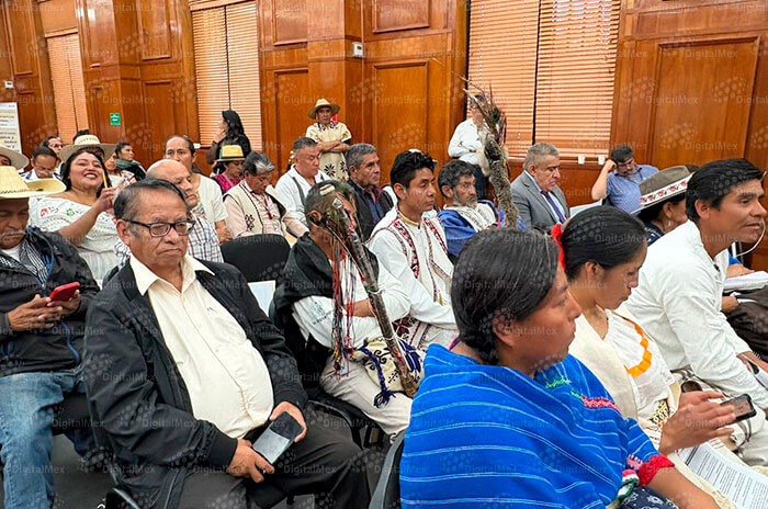 indigena