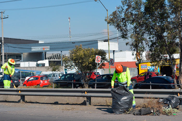 toluca