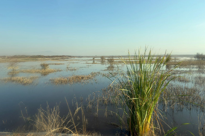 lago texcoco