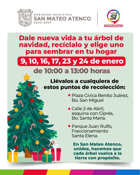arbol