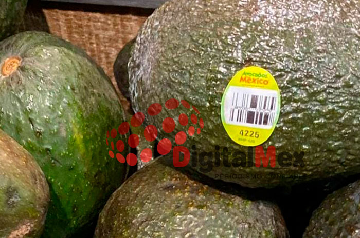 aguacate