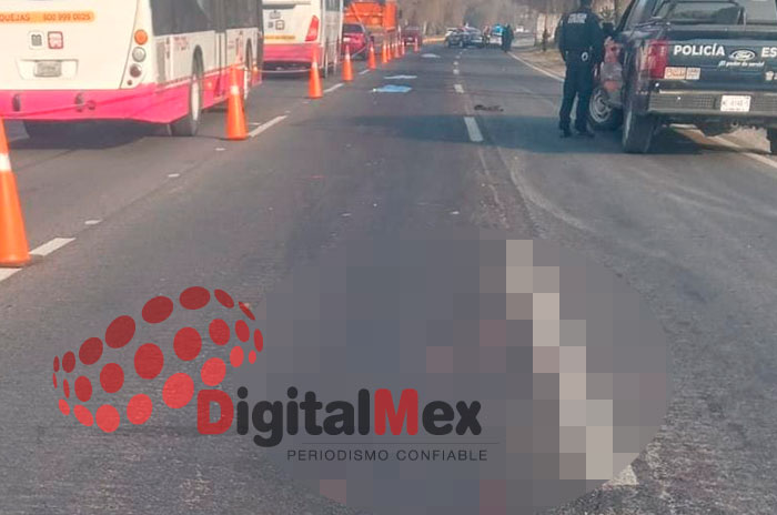 muerto