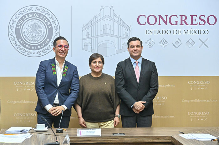 diputados 4