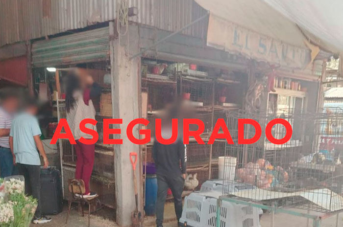 cuautitlan