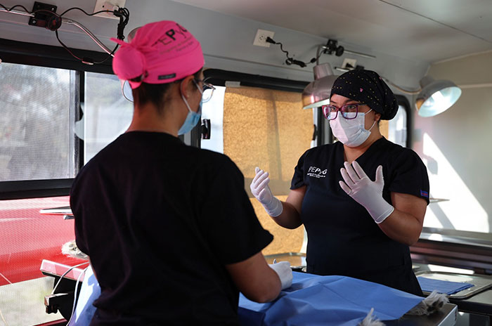 esterilizacion