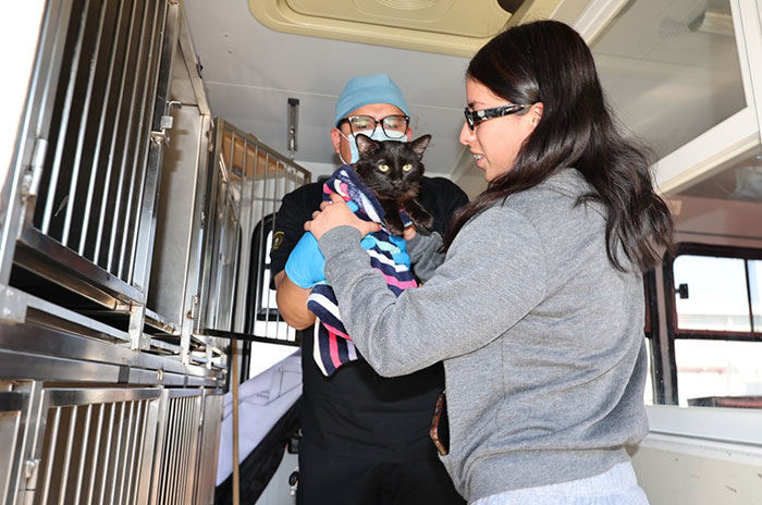 esterilizacion1