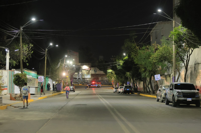 azucena 1