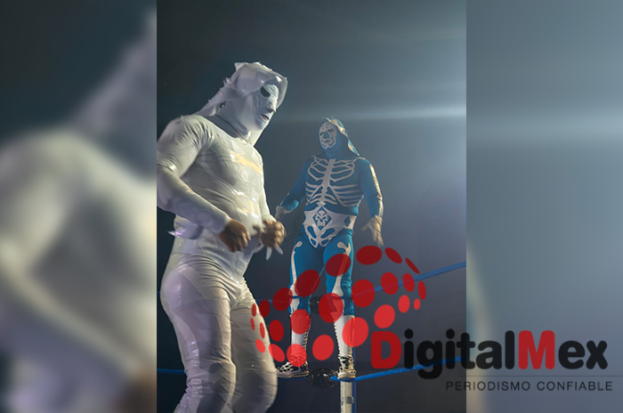 luchadores2