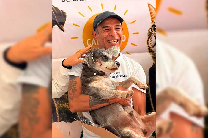 https://www.digitalmex.mx/images/2026/JULIO/08/Save-a-Stray-M%C3%A9xico3.jpg
