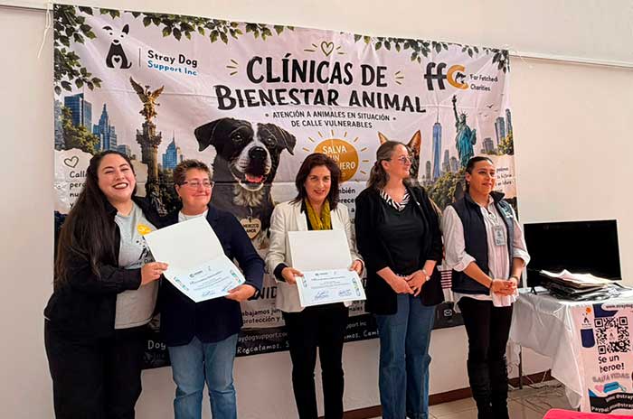 https://www.digitalmex.mx/images/2026/JULIO/08/Save-a-Stray-M%C3%A9xico4.jpg