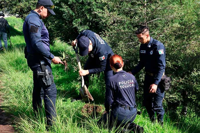 https://www.digitalmex.mx/images/2026/JULIO/10/toluca-humedal-1.jpg